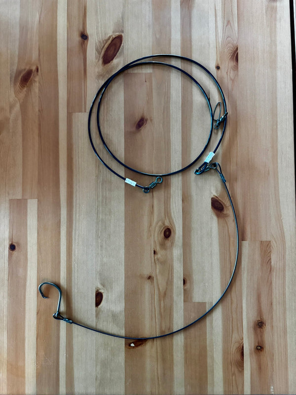 Casting Shark Rig