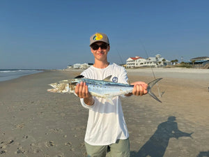 Live Bait/Small Cut Bait Surf Rig