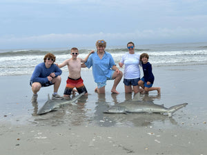 Casting Shark Rig