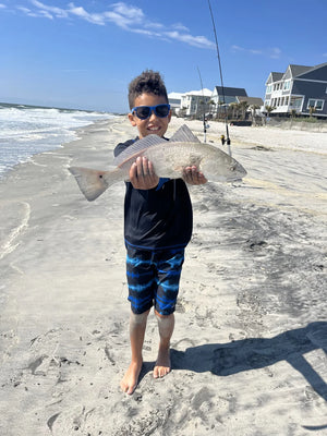 Live Bait/Small Cut Bait Surf Rig