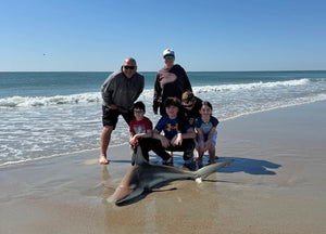 Do It All Shark Deployment - Bottom or Float