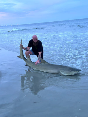 Do It All Shark Deployment - Bottom or Float